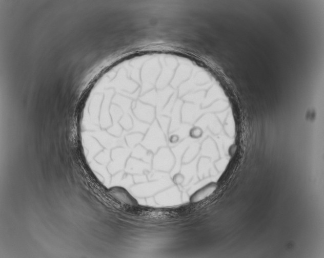 X0000114541167200911301154