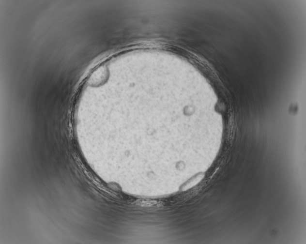 X0000114541168200911301154