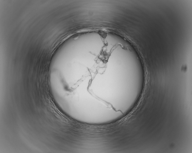 X0000114541169200911301154