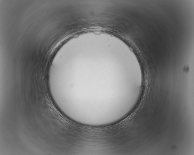 X0000114541173200911301154