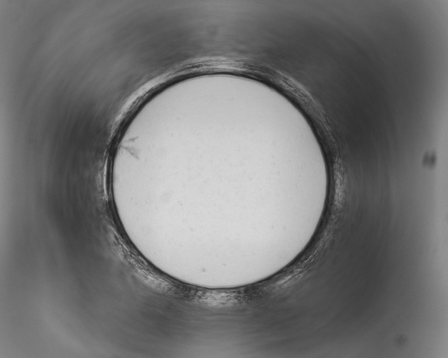 X0000114541174200911301154