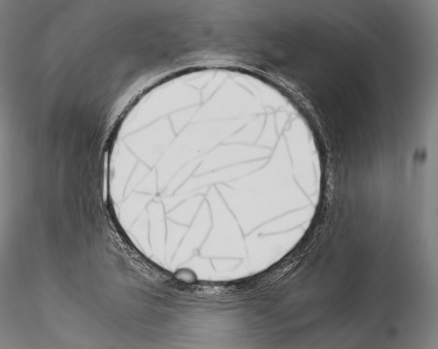 X0000114541175200911301154