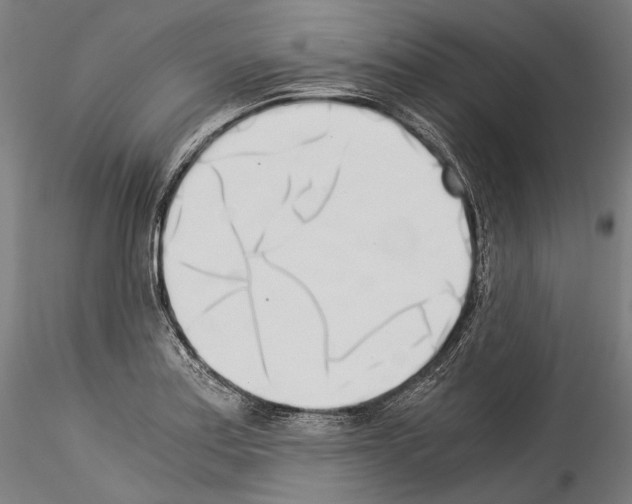 X0000114541179200911301154