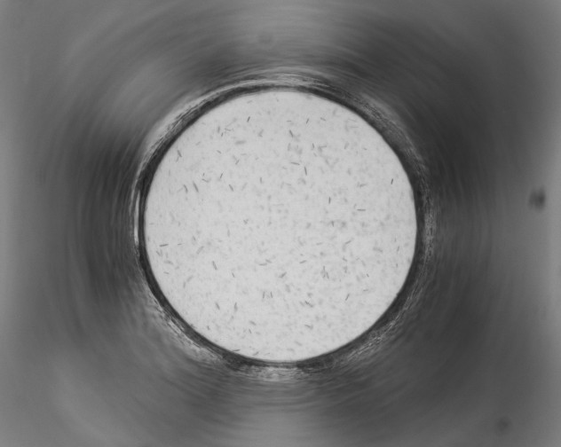 X0000114541180200911301154