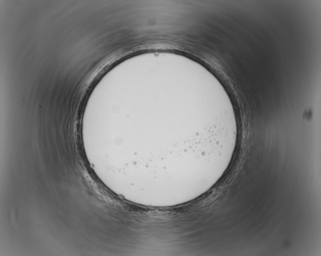 X0000114541181200911301154