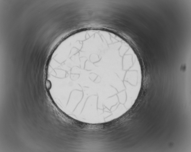 X0000114541183200911301154