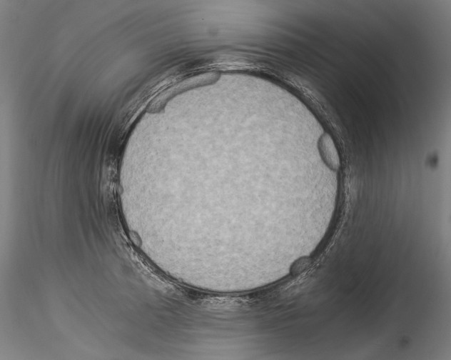 X0000114541185200911301154