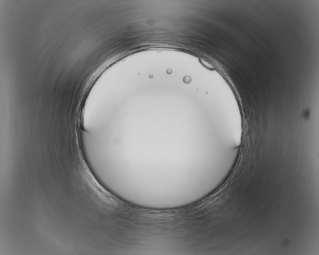 X0000114541195200911301154