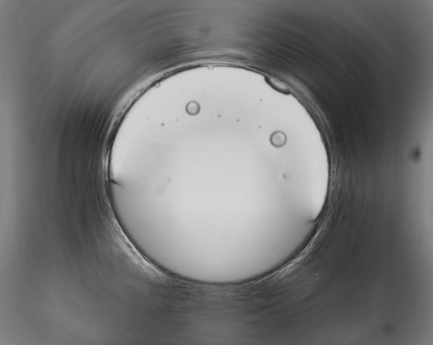 X0000114541196200911301154