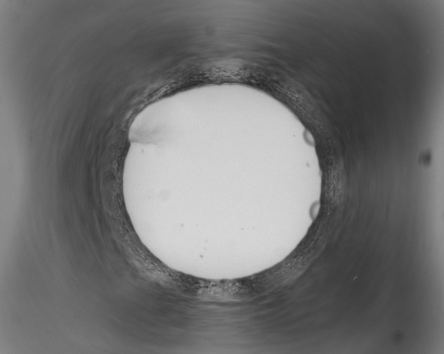 X0000114541201200911301153