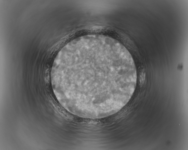 X0000114541204200911301153