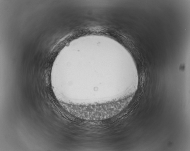 X0000114541205200911301153