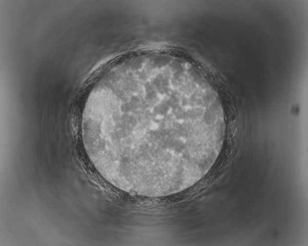 X0000114541206200911301153