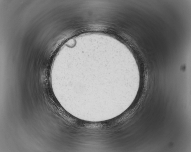 X0000114541210200911301153