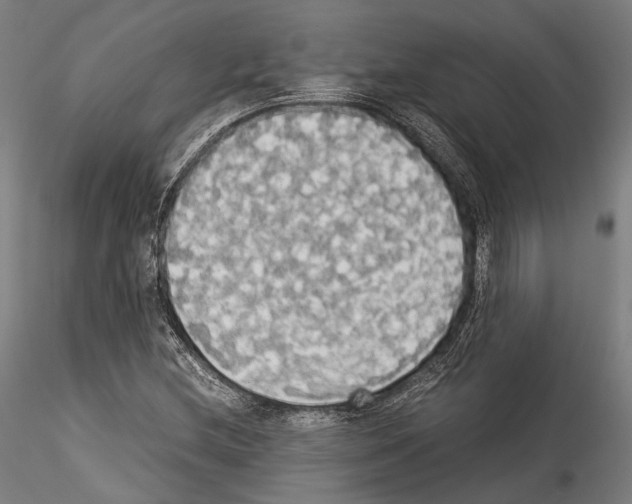 X0000114541212200911301153