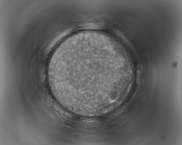 X0000114541213200911301153