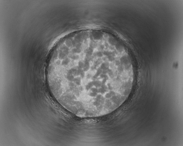 X0000114541214200911301153