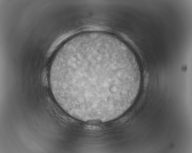 X0000114541215200911301153