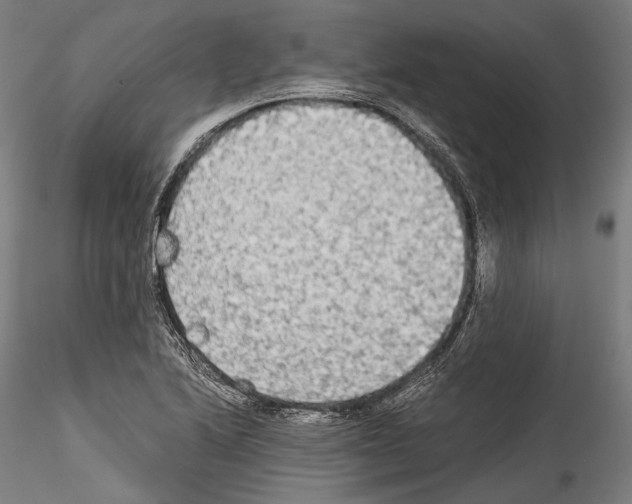 X0000114541222200911301154