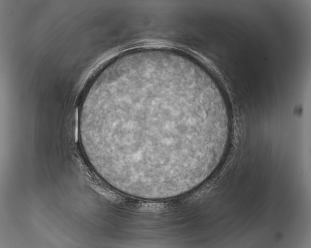 X0000114541223200911301154