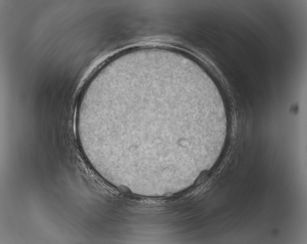 X0000114541224200911301154