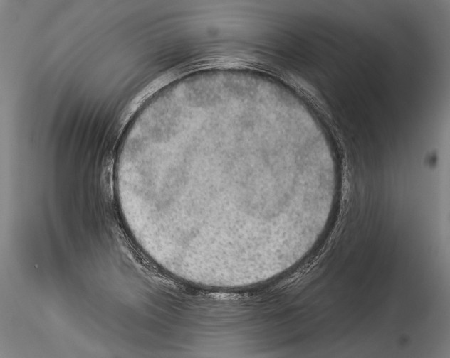 X0000114541226200911301154