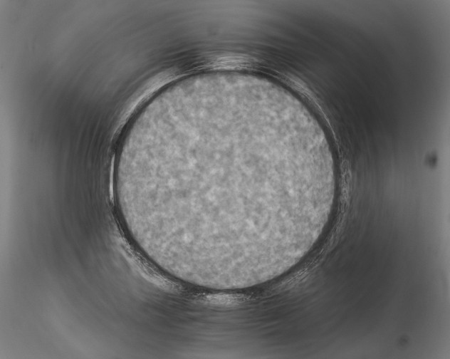 X0000114541227200911301154