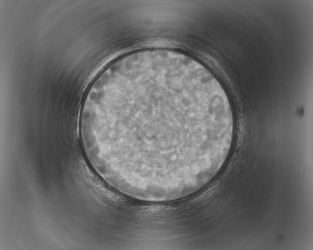 X0000114541228200911301154