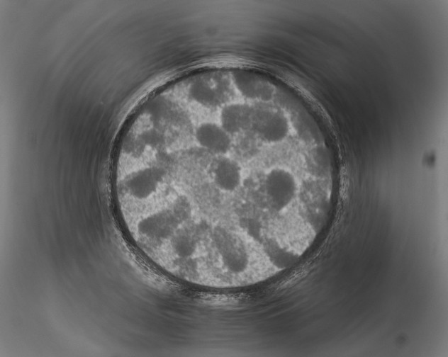 X0000114541229200911301154