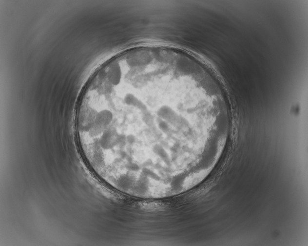 X0000114541231200911301154