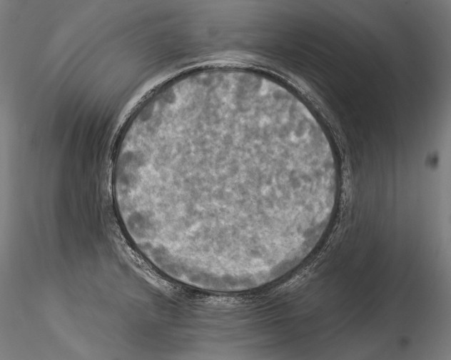 X0000114541232200911301154