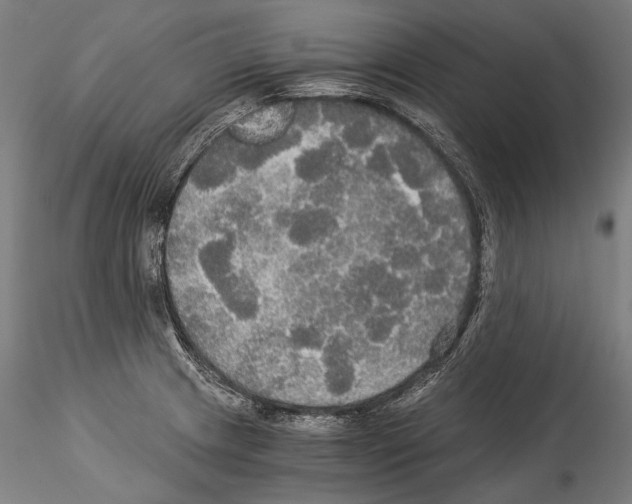 X0000114541233200911301154