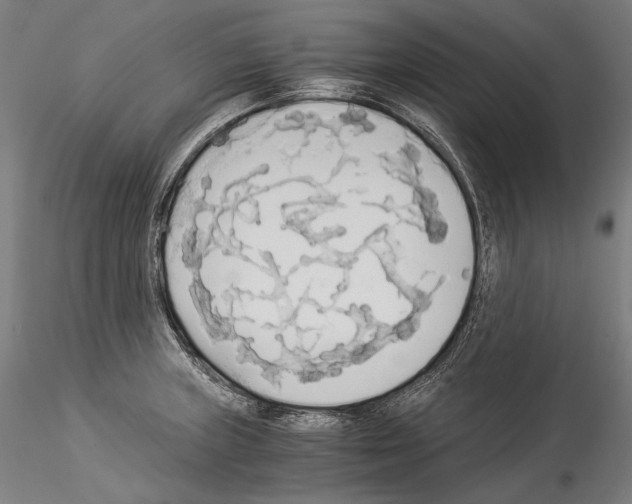 X0000114541235200911301154