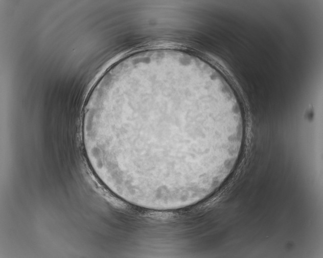 X0000114541236200911301154