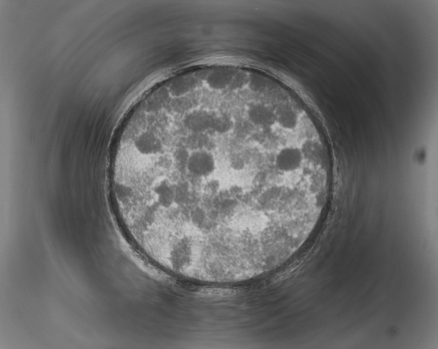 X0000114541237200911301154