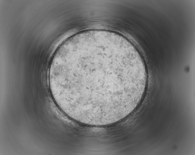 X0000114541238200911301154