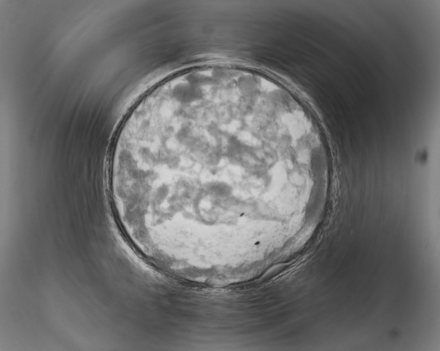 X0000114541239200911301154