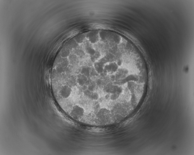 X0000114541241200911301154