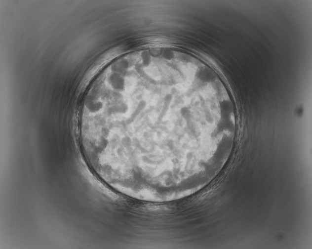 X0000114541243200911301154