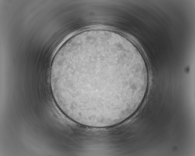 X0000114541244200911301154