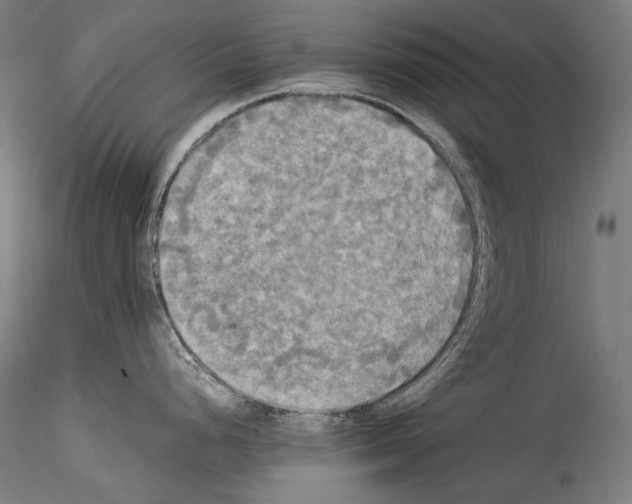 X0000114541248200911301154