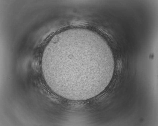 X0000114541254200911301153