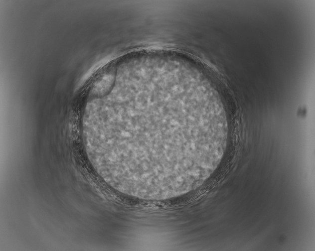 X0000114541255200911301153