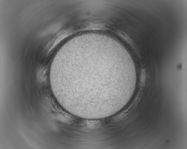 X0000114541258200911301153