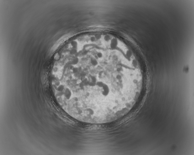 X0000114541259200911301153