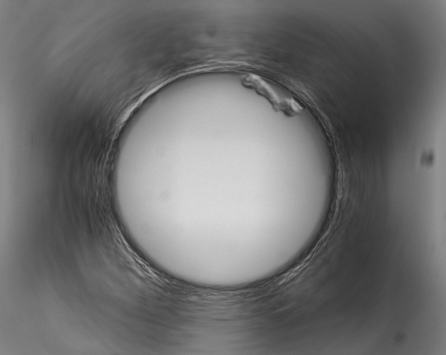 X0000114541260200911301153