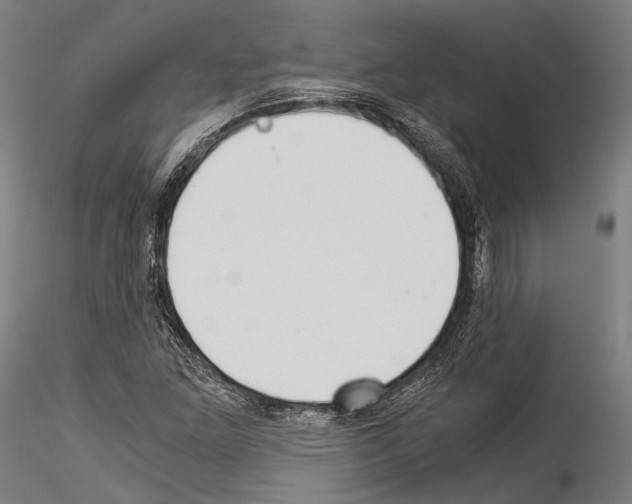 X0000114541261200911301153