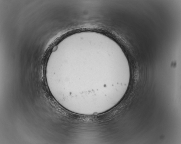 X0000114541262200911301153