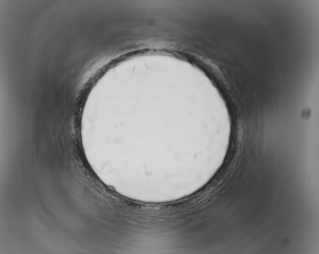 X0000114541263200911301153