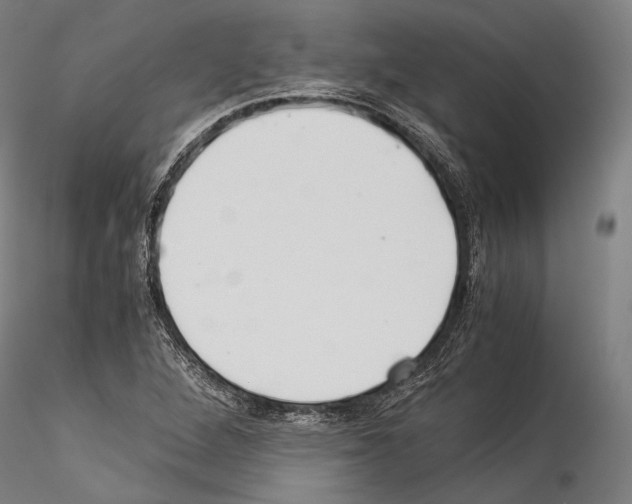 X0000114541264200911301153